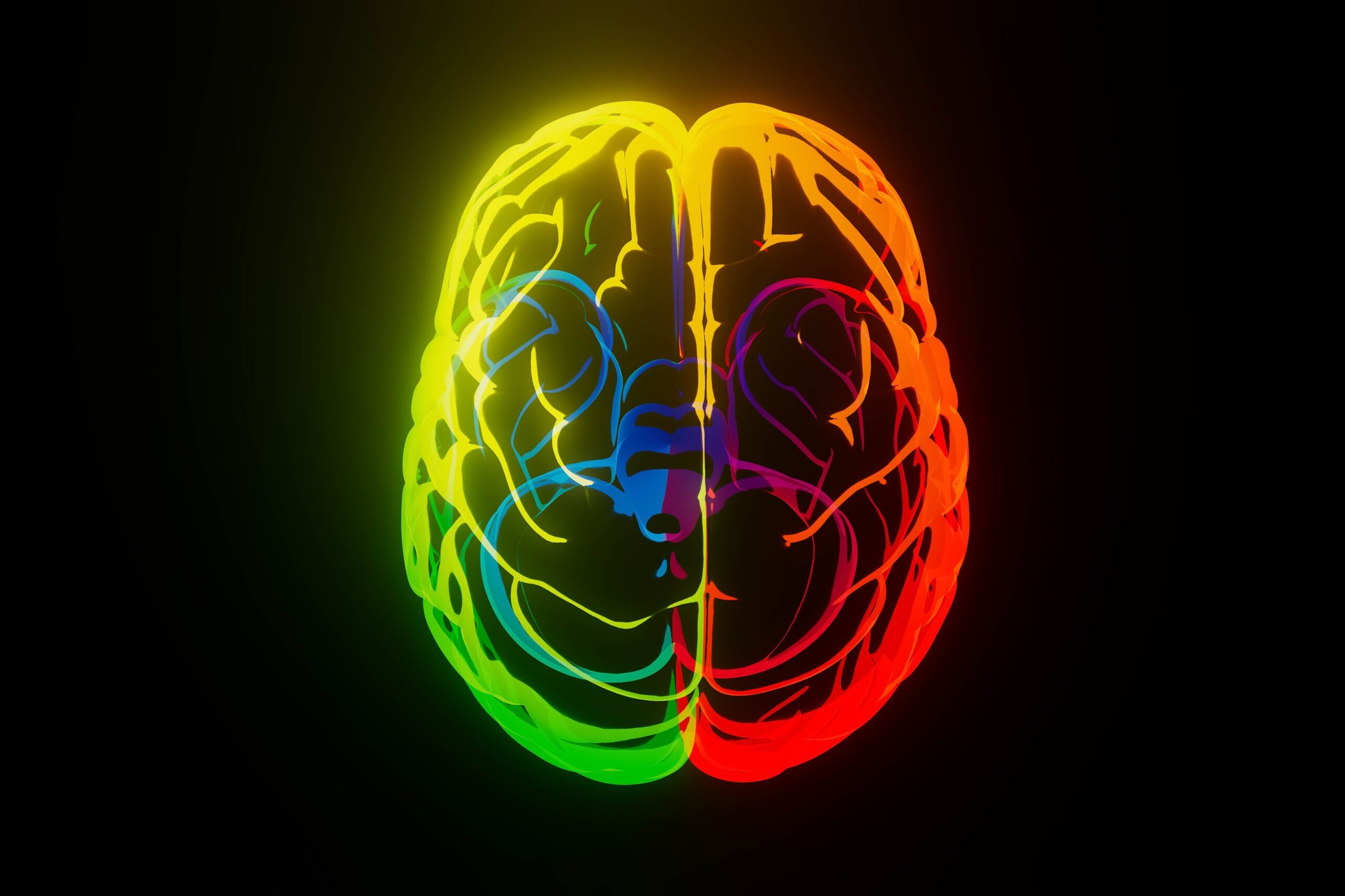 The World After Reading