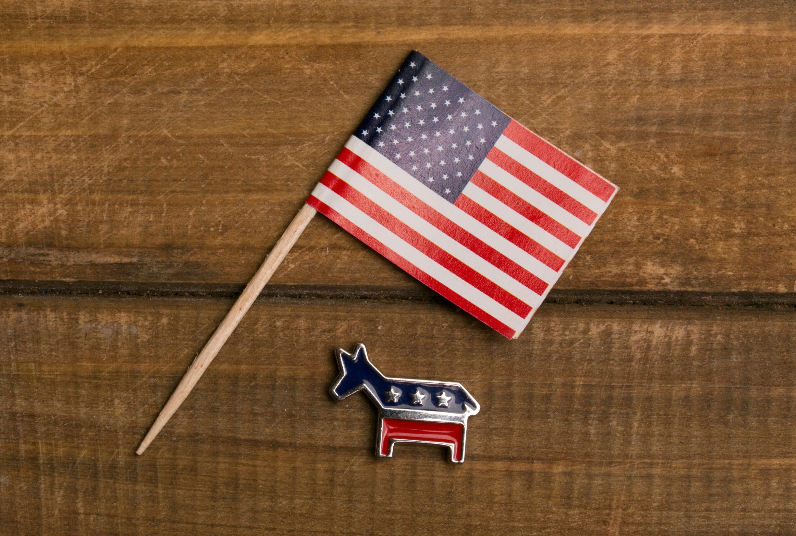 What Democrats Really Need: A Reply to Henry Tonks